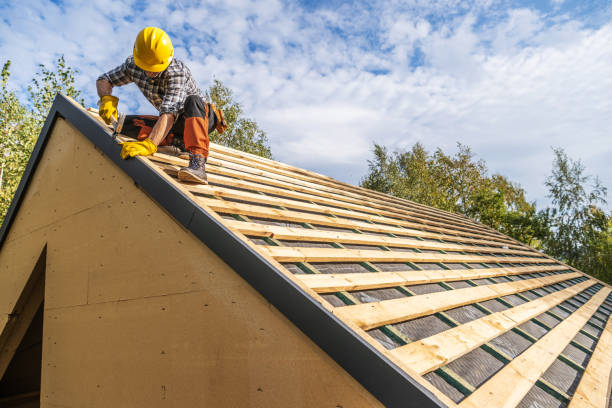 Roof Gutter Cleaning in South Miami Heights, FL